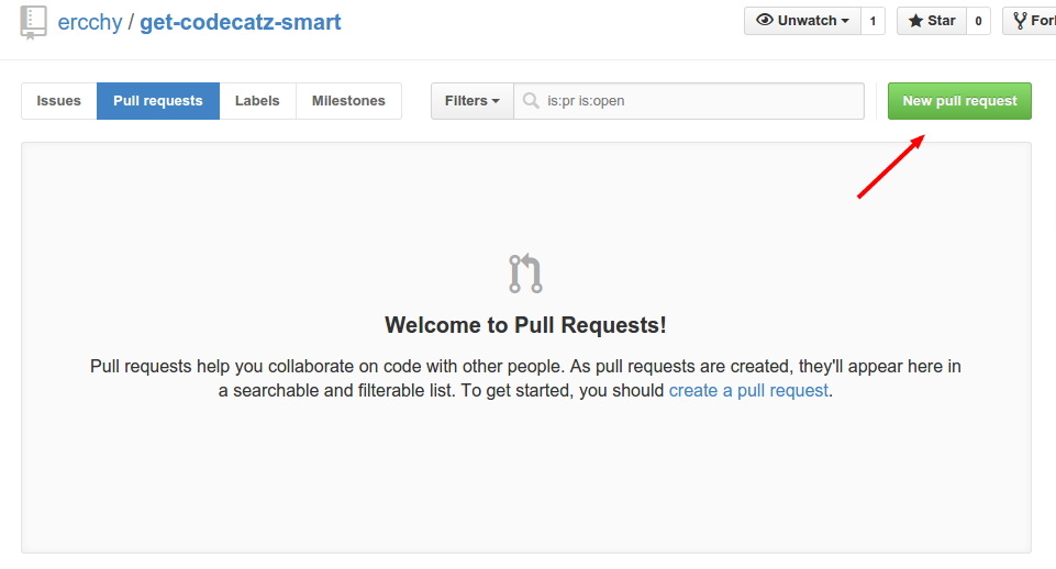 Create new pull request